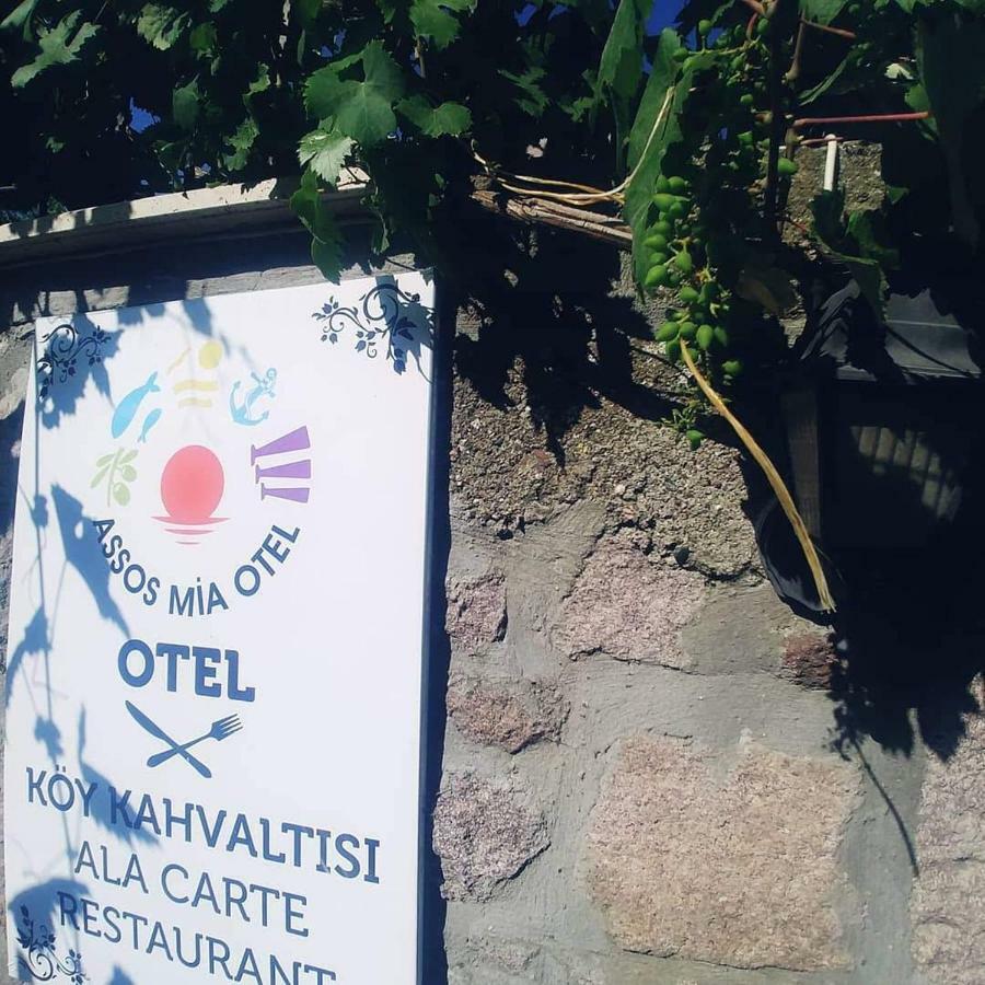 Assos Mia Otel Ayvacik Bagian luar foto